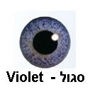 סגול - Violet