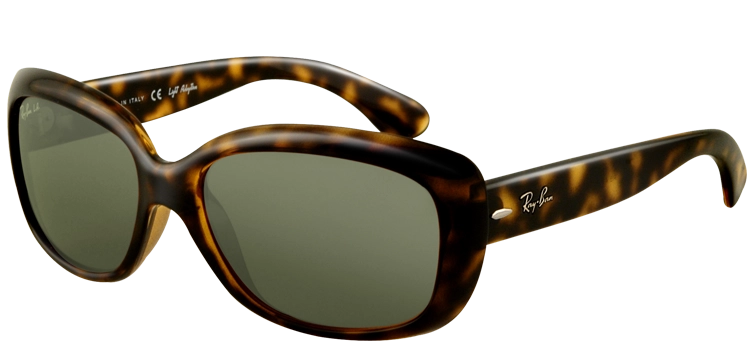 משקפי שמש רייבן לנשים RB 4101 מנומר אובאליות