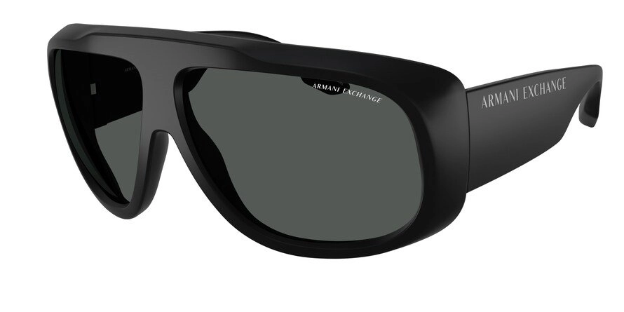 משקפי שמש ארמני אקסצ'יינג לגברים AX4143SU שחור טייסים