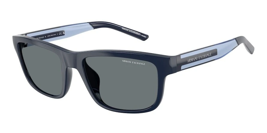 AX4169SU 840480 55-19-145