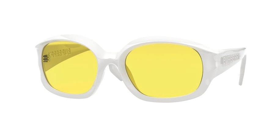 B 4338 3007/85 56-19-135