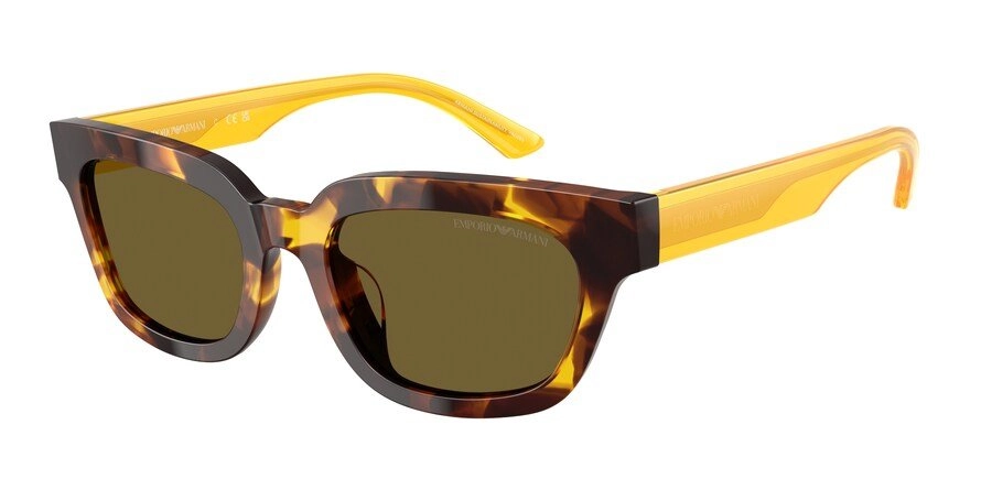משקפי שמש אימפוריו ארמני לנשים EA 4233U מנומר מיוחד