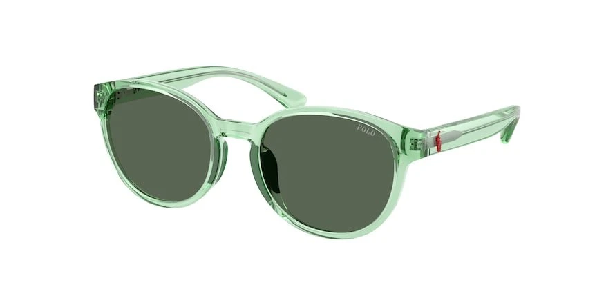 PP 9509U 6250/71 48-17-125