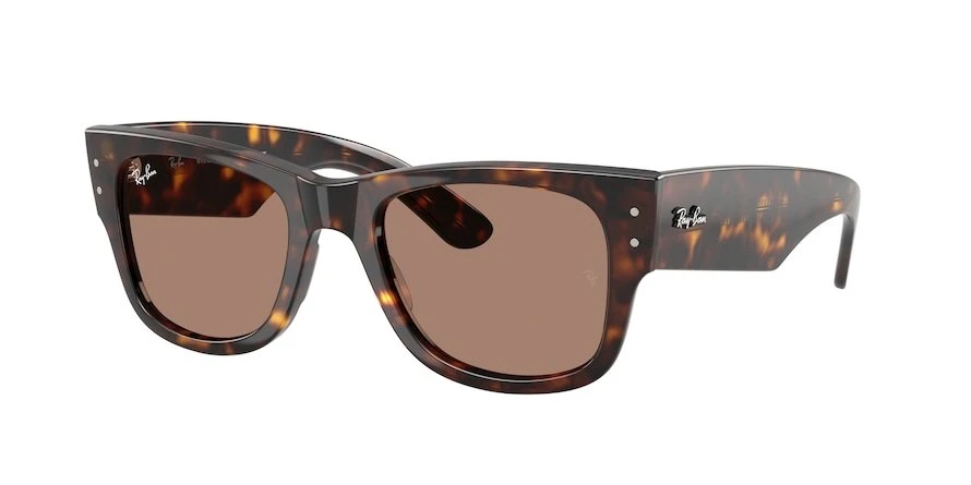 משקפי שמש רייבן MEGA WAYFARER RB 0840S מנומר מרובעות