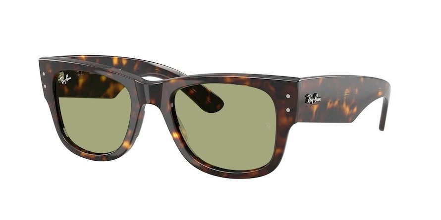 משקפי שמש רייבן MEGA WAYFARER RB 0840S מנומר מרובעות