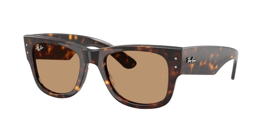 משקפי שמש רייבן MEGA WAYFARER RB 0840S מנומר מרובעות