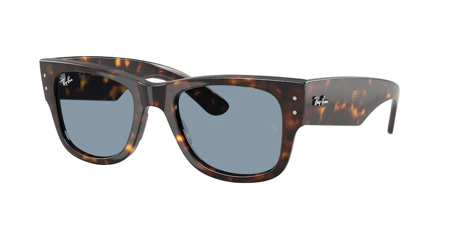 משקפי שמש רייבן MEGA WAYFARER RB 0840S מנומר מרובעות