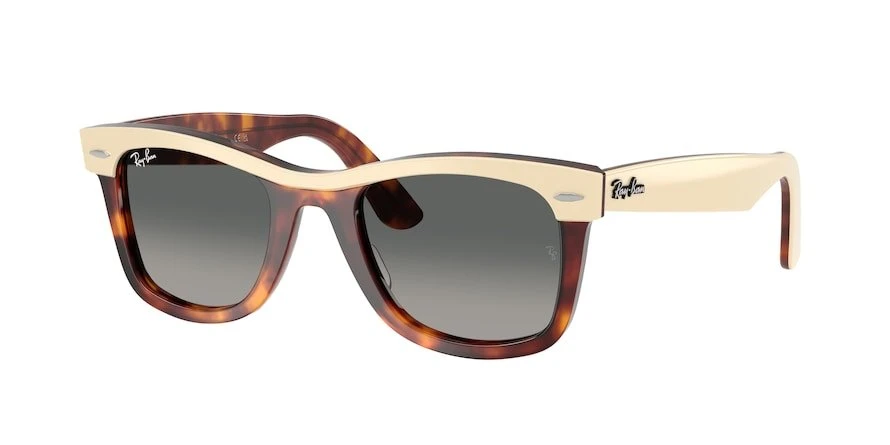 משקפי שמש רייבן WAYFARER RB 2240 מרובעות