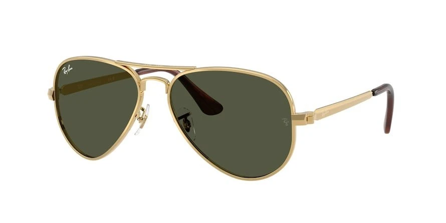 משקפי שמש רייבן AVIATOR MAX RB 3925 טייסים
