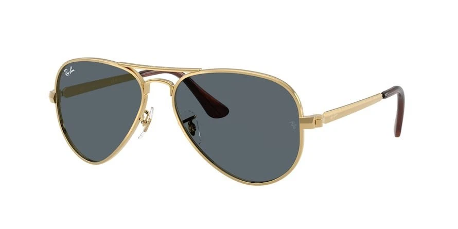 משקפי שמש רייבן AVIATOR MAX RB 3925 טייסים