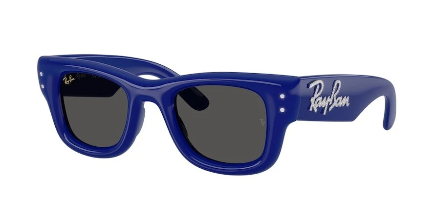 משקפי שמש רייבן WAYFARER PUFFER RB 4940B מרובעות