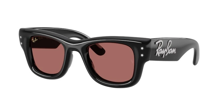 משקפי שמש רייבן WAYFARER PUFFER RB 4940B מרובעות
