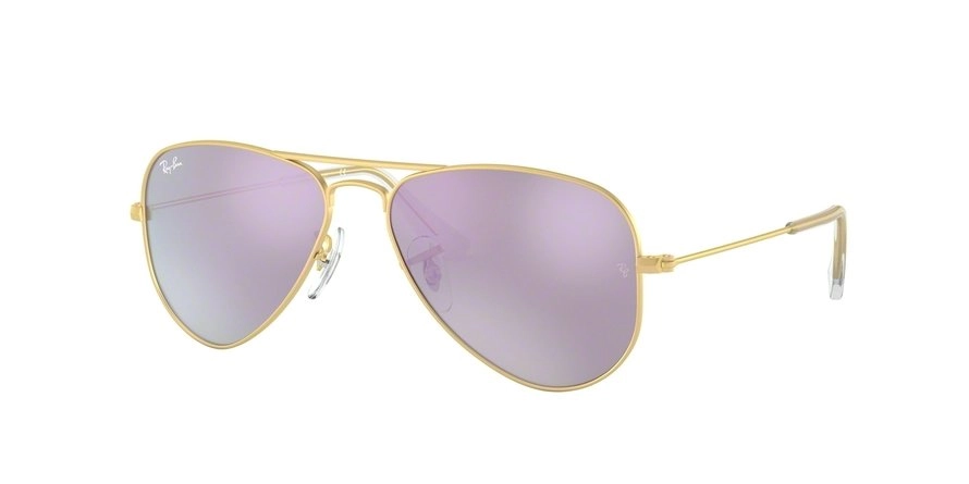 RJ9506S 249/4V 50-13-120