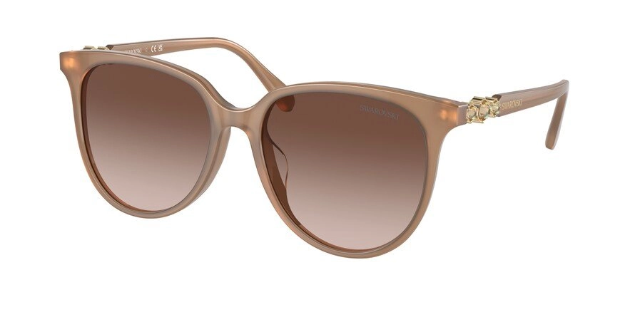 משקפי שמש סברובסקי לנשים SK6023D חום מיוחד