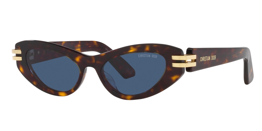 משקפי שמש כריסטיאן דיור יוניסקס CDIOR B1U זהב, מבריק, מנומר אליפסה, חתולי, עגולות