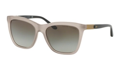  | Ralph Lauren ראלף לורן | RL8151Q 5538/8E 55-17-140