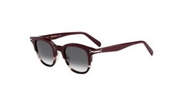  | CELINE סלין | CL 41394/S T6YW2 46-23-145