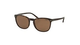  | Polo Ralph Lauren פולו ראלף לורן | PH 4107 5003/73 53-19-145