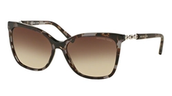  | DOLCE & GABBANA דולצ'ה גבנה | DG 6101 501/6G 53-21-145