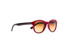  | Ray-Ban רייבן | RB 4203 6044/85 51-20-145