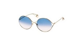  | GUCCI גוצ'י | GG0253S 003 58-20-135