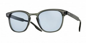 SunGlasses | MASSADA מסדה | S3181 C.SG 49-20-145