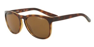  | arnette ארנט | 4227 2087/83 57-18-140