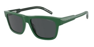  | arnette ארנט | 4279 1206/87 55-19-145