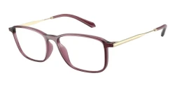 EyeGlasses | Giorgio Armani ג'ורג'יו ארמני | AR7294U 6487 53-17-145