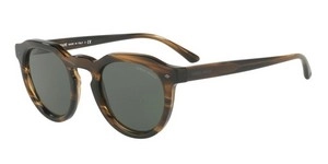  | Giorgio Armani ג'ורג'יו ארמני | AR8093 5594/31 47-23-145