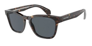 משקפי שמש | Giorgio Armani ג'ורג'יו ארמני | AR8155 5879/R5 55-19-145