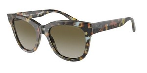  | Giorgio Armani ג'ורג'יו ארמני | AR8165 5925/8E 51-20-140