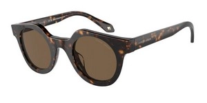  | Giorgio Armani ג'ורג'יו ארמני | AR8191U 5879/73 45-25-145