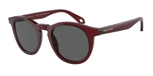  | Giorgio Armani ג'ורג'יו ארמני | AR8192 6045/B1 50-21-145