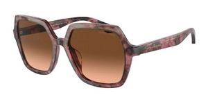 | Giorgio Armani ג'ורג'יו ארמני | AR8193U 6032/0A 55-17-140