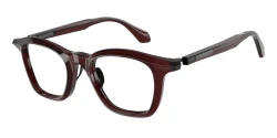 SunGlasses | Giorgio Armani ג'ורג'יו ארמני | AR8257 6422/1W 48-20-145