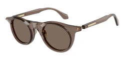 SunGlasses | Giorgio Armani ג'ורג'יו ארמני | AR8258 6420/73 47-22-145