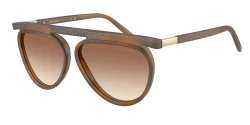 SunGlasses | Giorgio Armani ג'ורג'יו ארמני | AR8262 6429/13 58-12-145