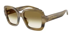 SunGlasses | Giorgio Armani ג'ורג'יו ארמני | AR8268U 6480/8E 51-20-140