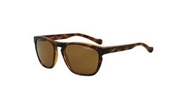  | arnette ארנט | 4203 2152/83 55-20-135