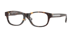 EyeGlasses | BURBERRY ברברי | B 2449-D 4205 53-17-145