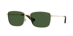 SunGlasses | BURBERRY ברברי | B 3178 1109/71 55-17-140