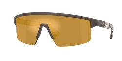 SunGlasses | BURBERRY ברברי | B 4498 4234/5A 38-138-130