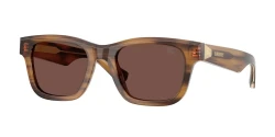 SunGlasses | BURBERRY ברברי | B 4504 4253/73 51-20-145