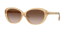 SunGlasses | BURBERRY ברברי | B 4507-D 4167/13 57-15-140