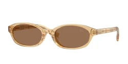 SunGlasses | BURBERRY ברברי | B 4508-D 4167/73 56-20-140