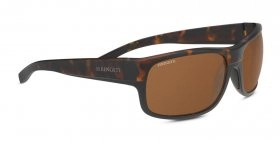  | Serengeti סרנגטי | BERGAMO 8807 61-16-131