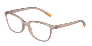  | DOLCE & GABBANA דולצ'ה גבנה | DG 5092 3041 53-17-140