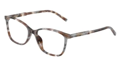 EyeGlasses | DOLCE & GABBANA דולצ'ה גבנה | DG 3424 3445 54-17-145