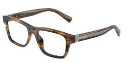 EyeGlasses | DOLCE & GABBANA דולצ'ה גבנה | DG 3446 3063 51-18-145
